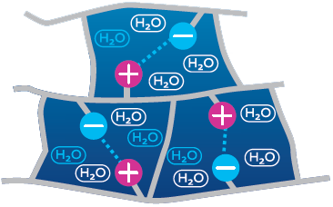 Polymerketten